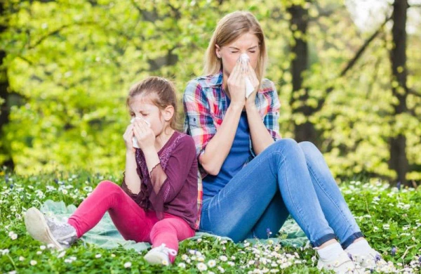 Allergiyadan əziyyət çəkirsiniz? - Bunu mütləq oxuyun