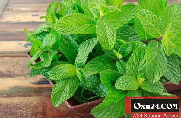 Həzm problemləri olanların NƏZƏRİNƏ - MÜTLƏQ OXUYUN