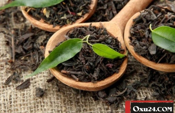 Çayın dəmlənilmə və içilmə qaydası