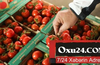 Türkiyə pomidorları Rusiyaya qayıdır