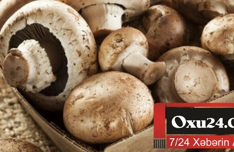 Ürək xəstəliklərindən xilas olmaq istəyirsiniz?