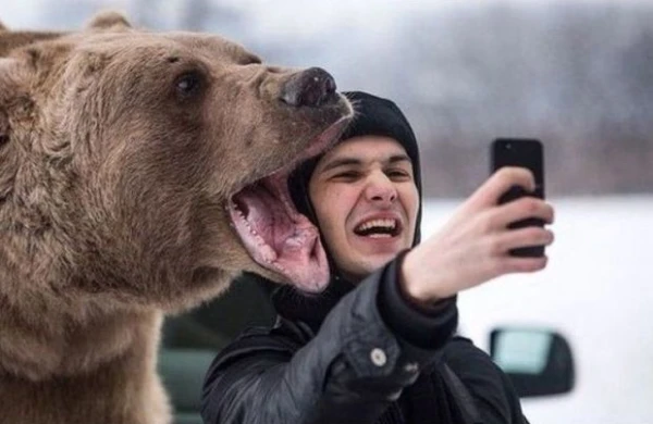 Ayı onunla selfi çəkdirən taksi sürücüsünü parçaladı -