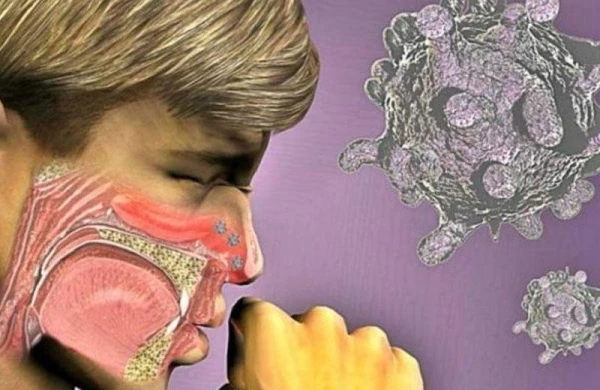 Burundan çıxan qalıqları atmayın - Alimlərdən MARAQLI KƏŞF