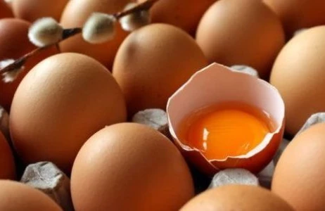 Toyuq yumurtası xərçənglə mübarizə aparacaq