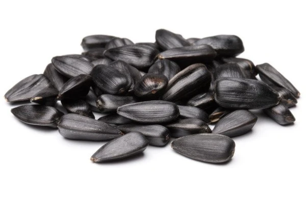 Azərbaycana Çernobıldan radiasiyalı günəbaxan tumu gətirilir? – Ekspertlərdən həyəcan təbili