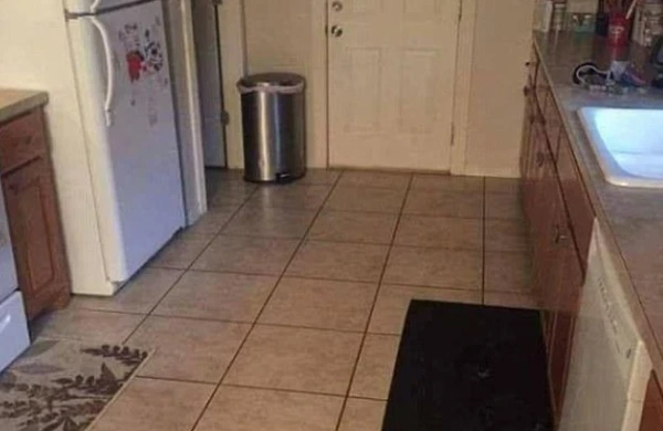 Heç kim boş mətbəxdə iti tapa bilmir. Siz tapa bilərsinizmi?-Foto