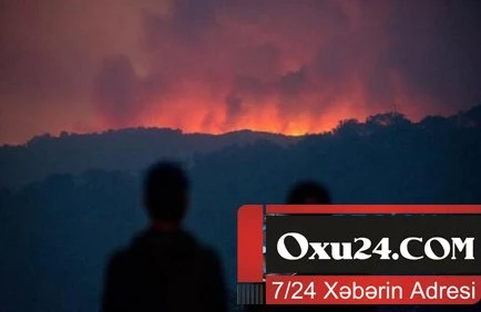 Meşədə yanğın çıxaran gəncə fantastik cəza - 36,6 milyon dollar ödəyəcək