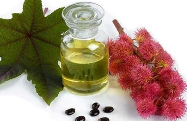 Gənəgərçək yağının faydaları