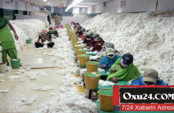 Dünyada 25 milyon insan kölə kimi yaşayır