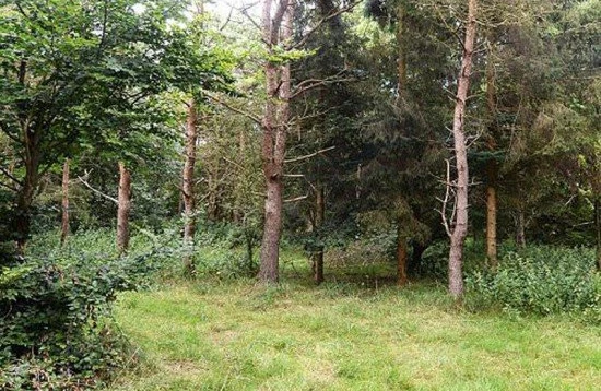 Bu fotodakı 6 snayperi görürsünüz? -