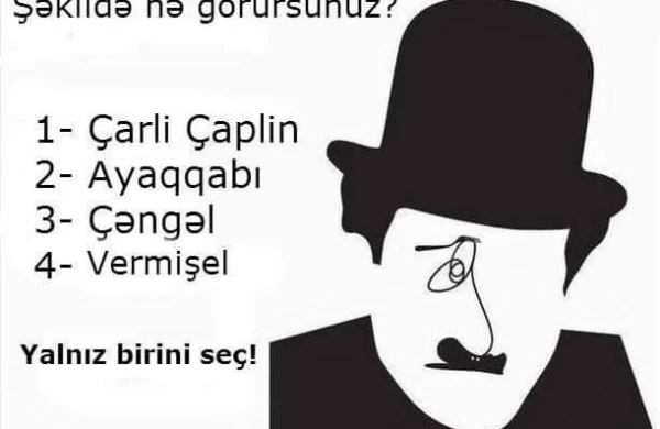 Şəklə baxanda ilk olaraq nə görürsünüz? -