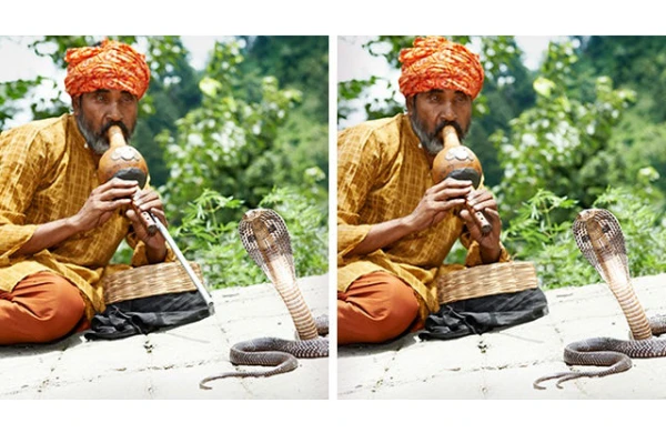 Şəkildə 3 fərqi kim tapar? - MƏNTİQ TESTİ