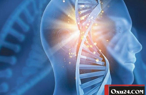 Hüceyrələrimiz davamlı yenilənirsə niyə yaşlanırıq?