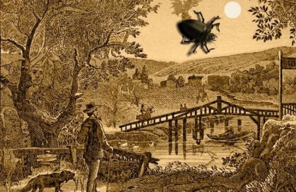 Fotodakı balığı tapın -