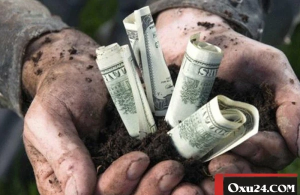 Hansı pullarda daha çox mikrob var? – ARAŞDIRMA