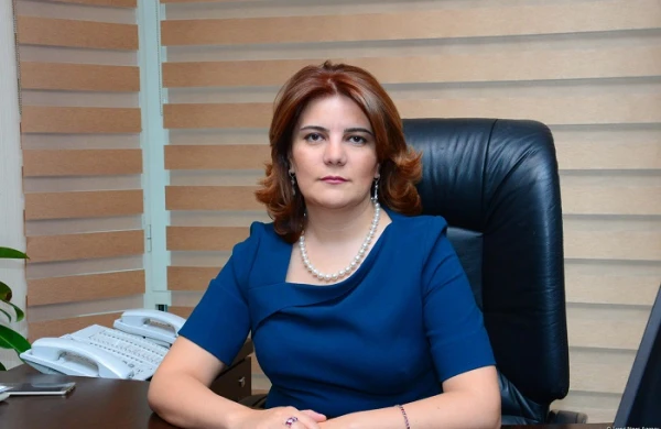 APA niyə bağlanıb?- AÇIQLAMA