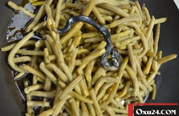 Makaron konservindən ilan ölüsü çıxdı -