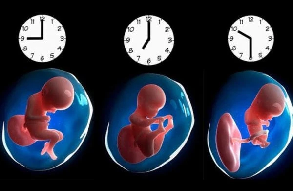 Doğulduğunuz saatın gələcək həyatınıza BİLMƏDİYİNİZ TƏSİRİ - BU TESTİ YOXLAYIN!