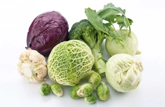 Elm təsdiqlədi: Xərçənglə mübarizə aparan maddə bu qidalardadır