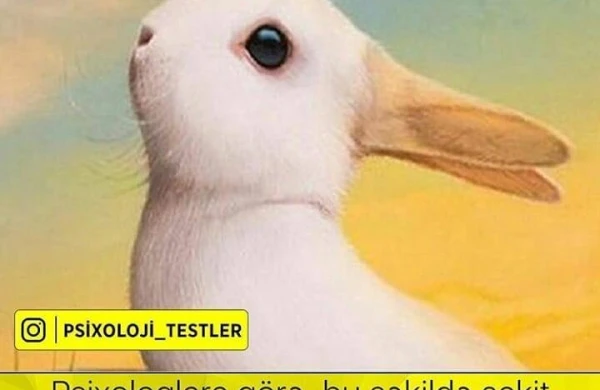 Siz ilk nə gördüz? - PSİXOLOJİ TEST