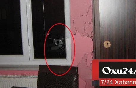 Azərbaycanda şok olay! Mənzilə girən qeyri-adi canlı nədir? - VİDEO