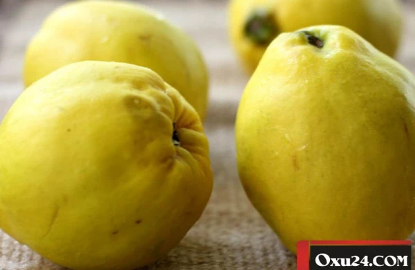 Heyvanın 1001 faydası