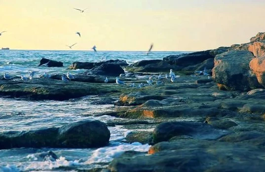 Xəzər dənizi sürətlə quruyur - ALİMLƏRDƏN ŞOK AÇIQLAMA