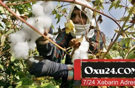 79 yaşlı Xalq artisti: Arvaddan qorxmayan kişi deyil