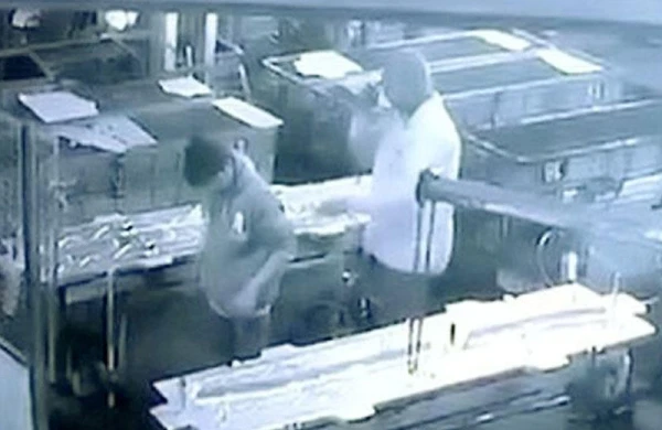 Müdir fəhlənin arxasına kompressor püskürtdü, işçinin orqanları partladı, öldü - FOTO