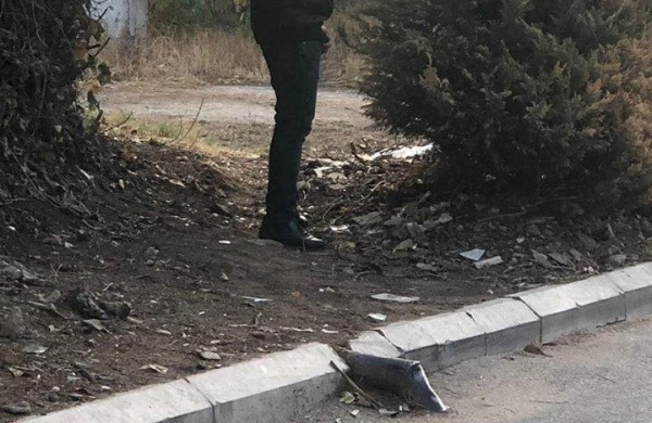 Bakıda şagirdlərə əxlaqsız təkliflər edən şəxs saxlanıldı - FOTO