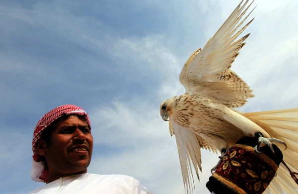 Ərəb turist  “Qırmızı kitab”a düşmüş  quşu öldürdü - Polisə aparıldı