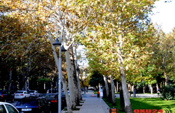 Oktyabr ayına HAVA PROQNOZU açıqlandı