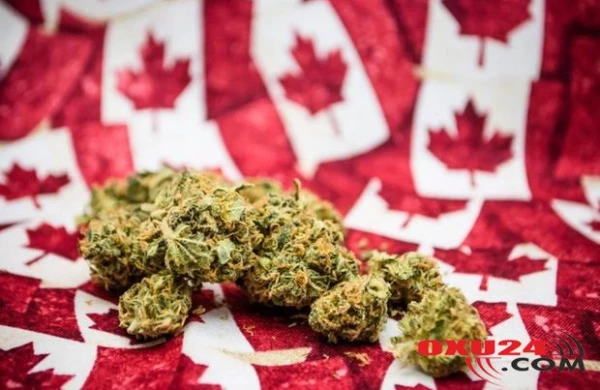 Sərnişinlərə təyyarəyə narkotik keçirməyə icazə verildi