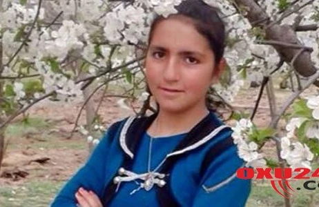 Aprel döyüşlərində həlak olan qızın qardaşı minaya düşdü, ayağı kəsildi - FOTO+VİDEO