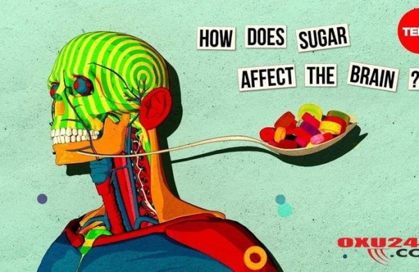 Beyni 4 gün ərzində pozan qidalar