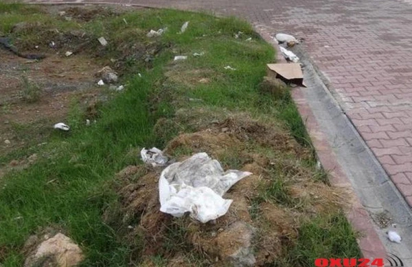 Yeni doğulan körpəsini DİRİ-DİRİ