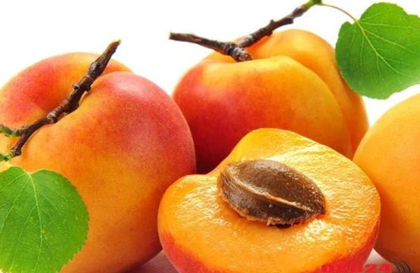 Xərçəngin qarşısını alan ÇƏYİRDƏK