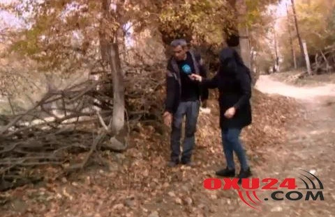 Bu da əmisi oğlunun arvadını qaçıran oğlanın öldürüldüyü yer - FOTO