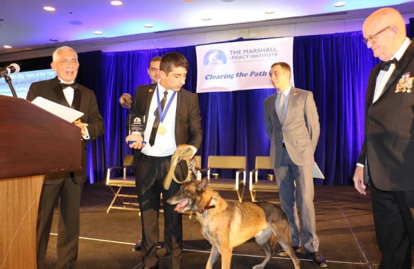 Azərbaycan itləri ABŞ-da mükafat aldı - FOTOLAR