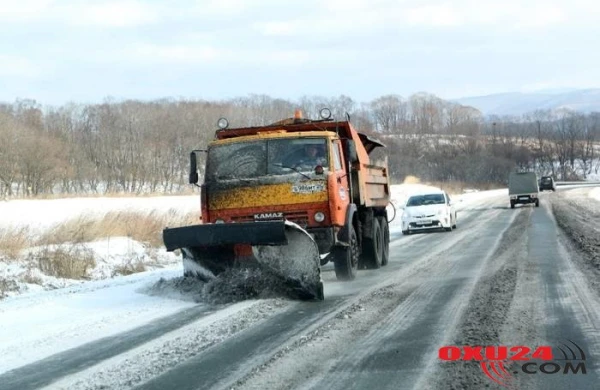 Qar bu ölkədə həyatı iflic etdi - FOTO