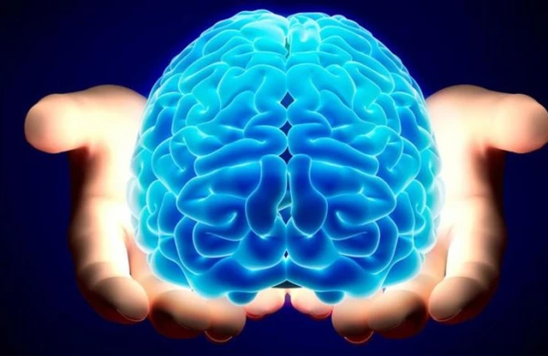 Beyninizin necə işlədiyini bilirsiniz? - HEYRƏTAMİZ FAKTLAR