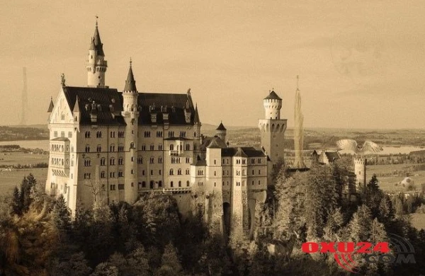 Bu fotoda 10 gizli ünsür var -DİQQƏTLİ OLANLAR TAPACAQ!