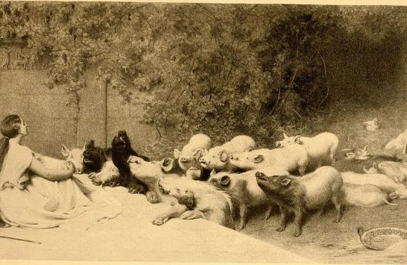 Ən vahiməli adalar: gedənlər donuza dönür + VİDEO