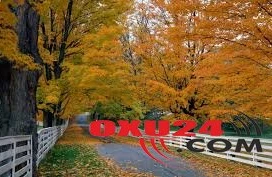 Səyahətə çıxanlar üçün hava proqnozu