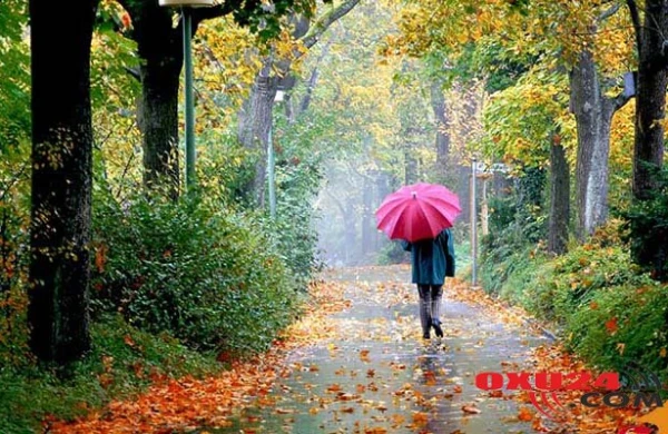 Sabahın havası - Yağış, qar yağacaq