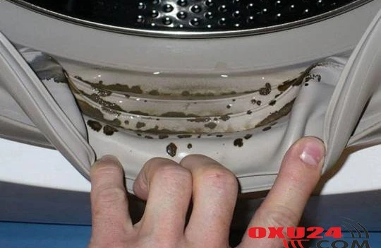 Paltaryuyan maşını kifdən qorumağın ən sadə üsulu