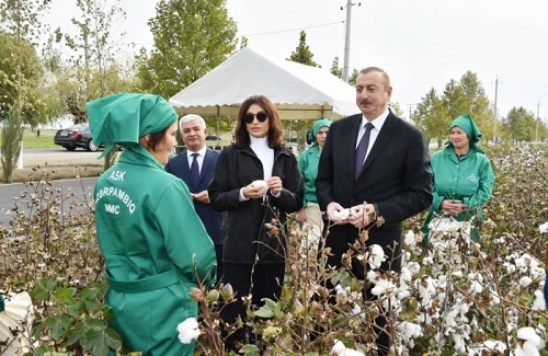 "100 manat, hər gün bir evə?" - İlham Əliyevin pambıqçılarla maraqlı dialoqu