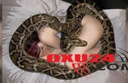 Hər gecə ilanla yatan qız həyatının şokunu yaşadı - Bir gecə piton...