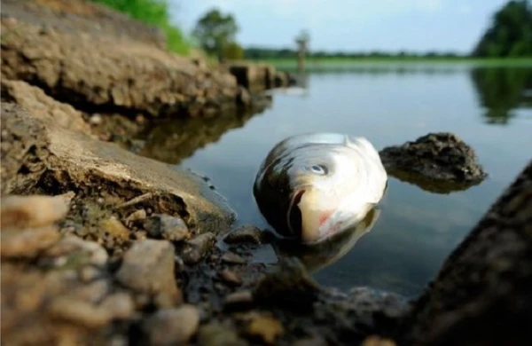 Ermənilər  Kür  çayına  zəhər  qatııb - DİQQƏT!