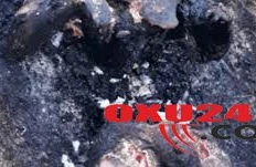 Ana və övladlarının öldüyü dəhşətli yanğının şahidi DANIŞDI: "Uşaqların səsi gəlirdi" - VİDEO